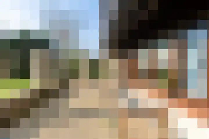 Oude Nieuwlandseweg 23 B Ouddorp thumbnail 29
