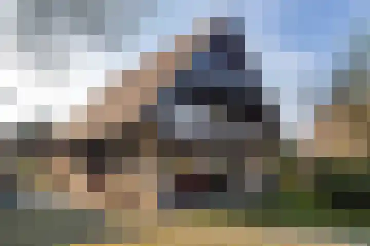 Oude Nieuwlandseweg 23 B Ouddorp thumbnail 30