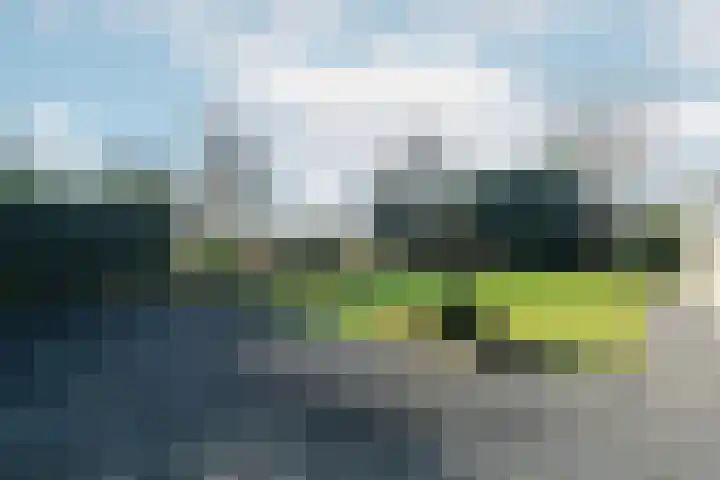 Oude Nieuwlandseweg 23 B Ouddorp thumbnail 31