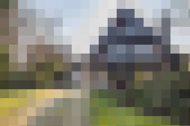 Oude Nieuwlandseweg 23 B Ouddorp thumbnail 32