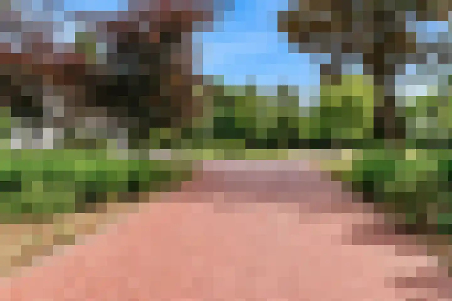 Oude Nieuwlandseweg 3 Nieuwerkerk thumbnail 10