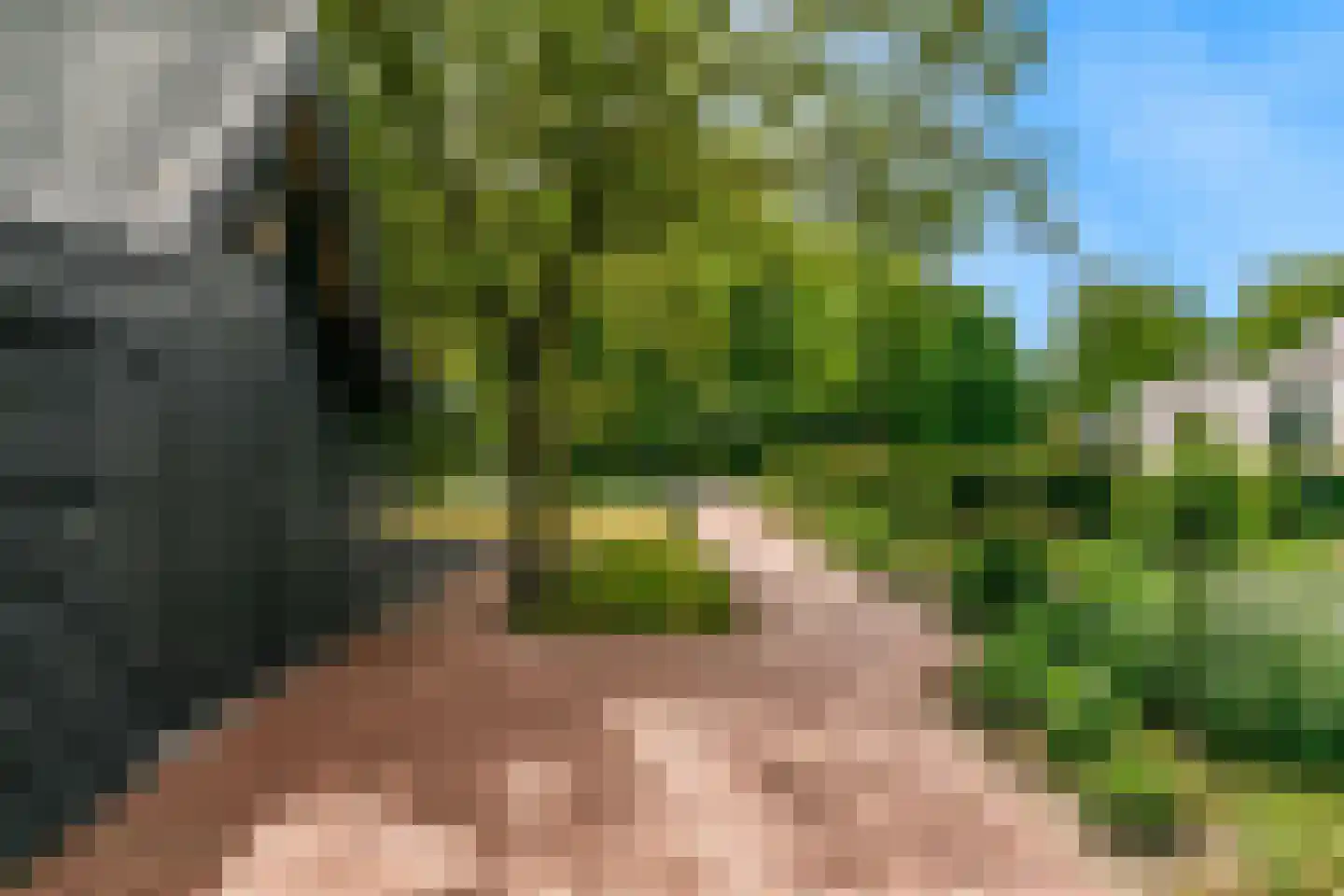 Oude Nieuwlandseweg 3 Nieuwerkerk thumbnail 100