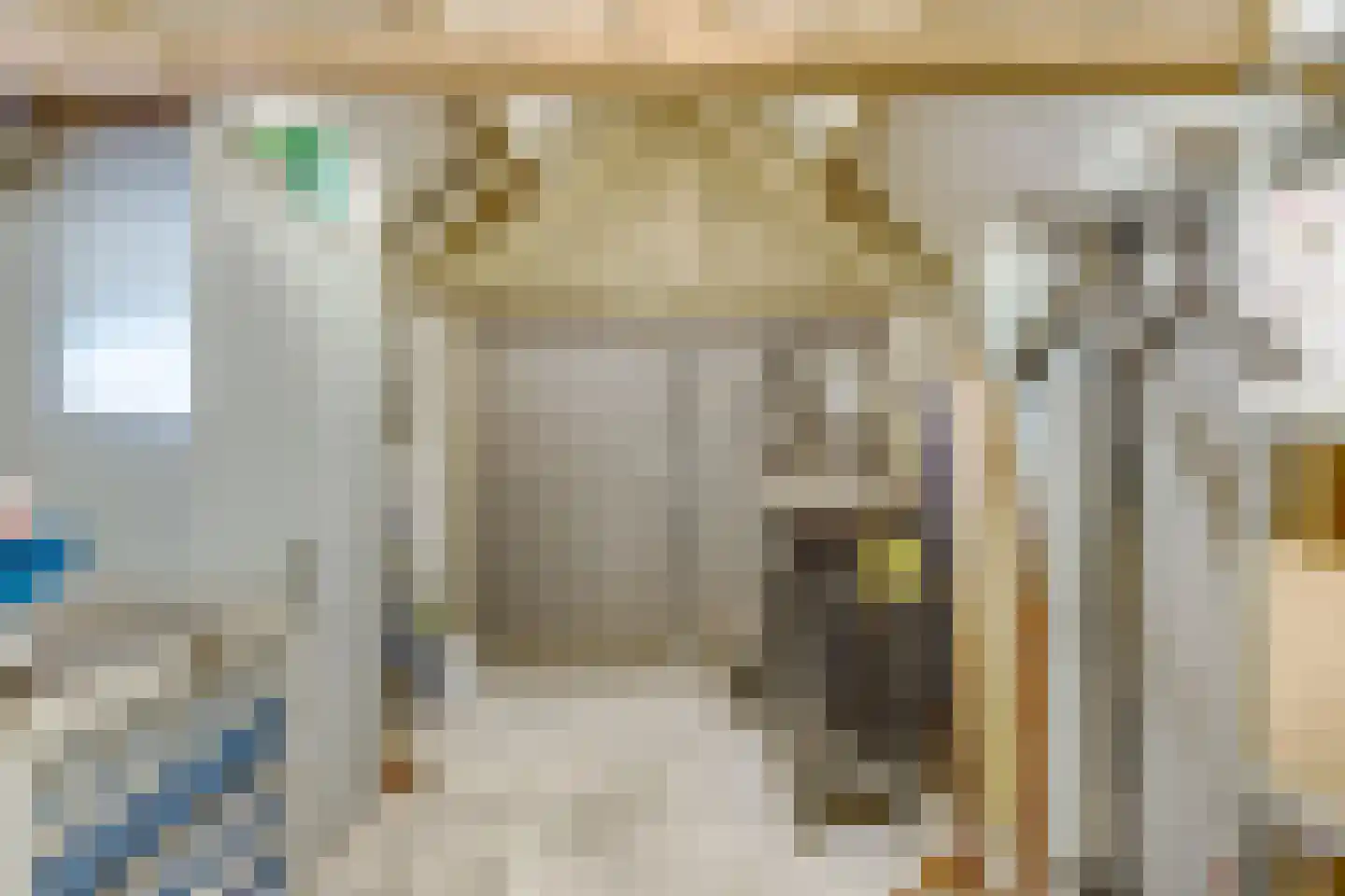 Oude Nieuwlandseweg 3 Nieuwerkerk thumbnail 101