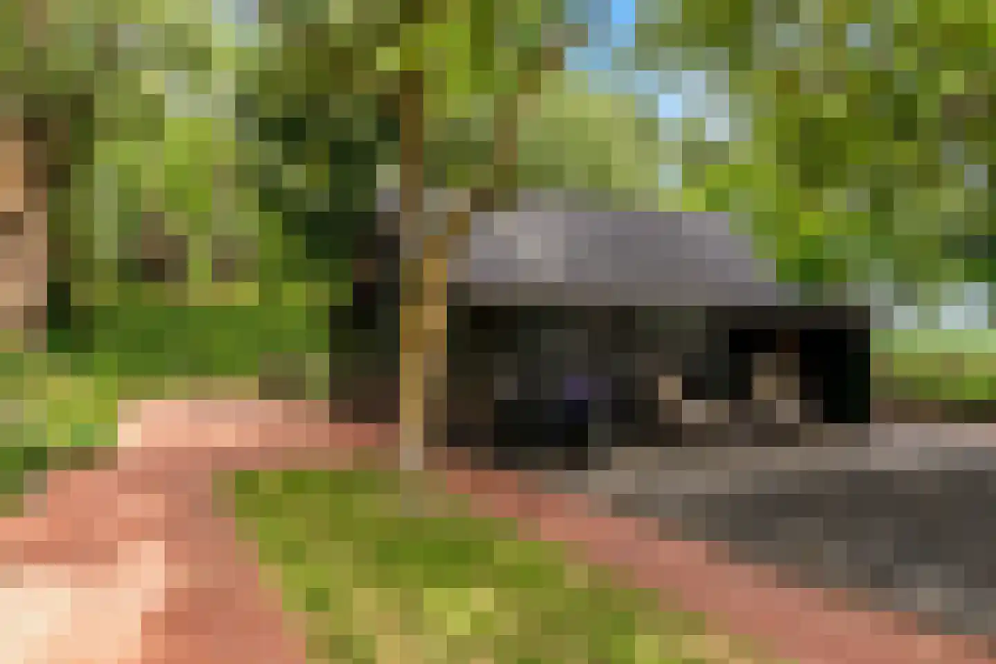 Oude Nieuwlandseweg 3 Nieuwerkerk thumbnail 102