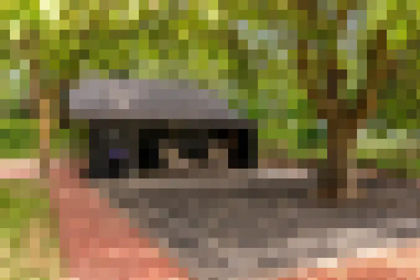 Oude Nieuwlandseweg 3 Nieuwerkerk thumbnail 103