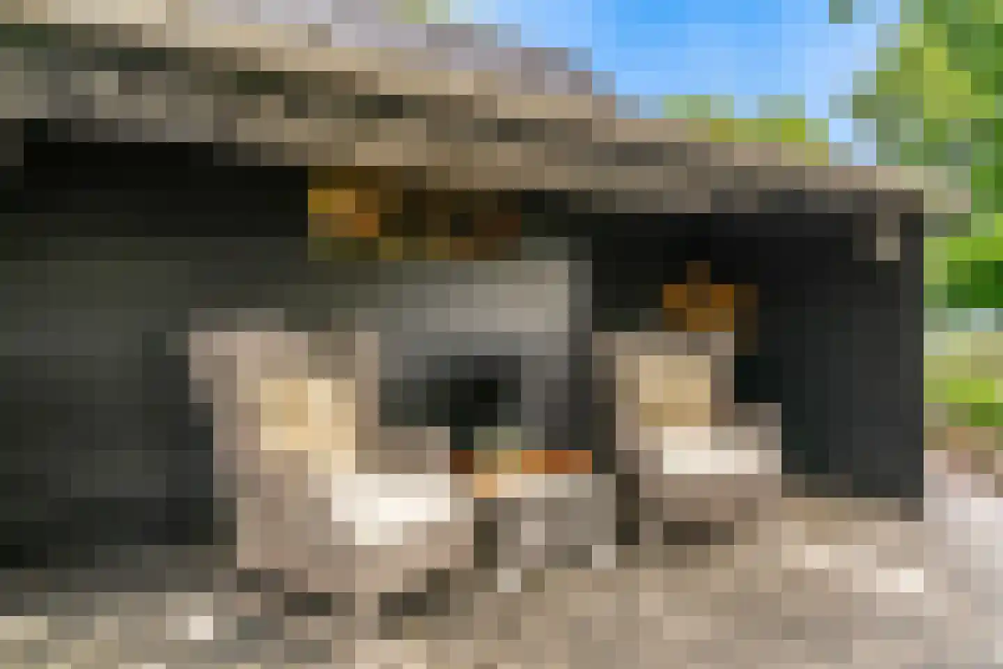 Oude Nieuwlandseweg 3 Nieuwerkerk thumbnail 104