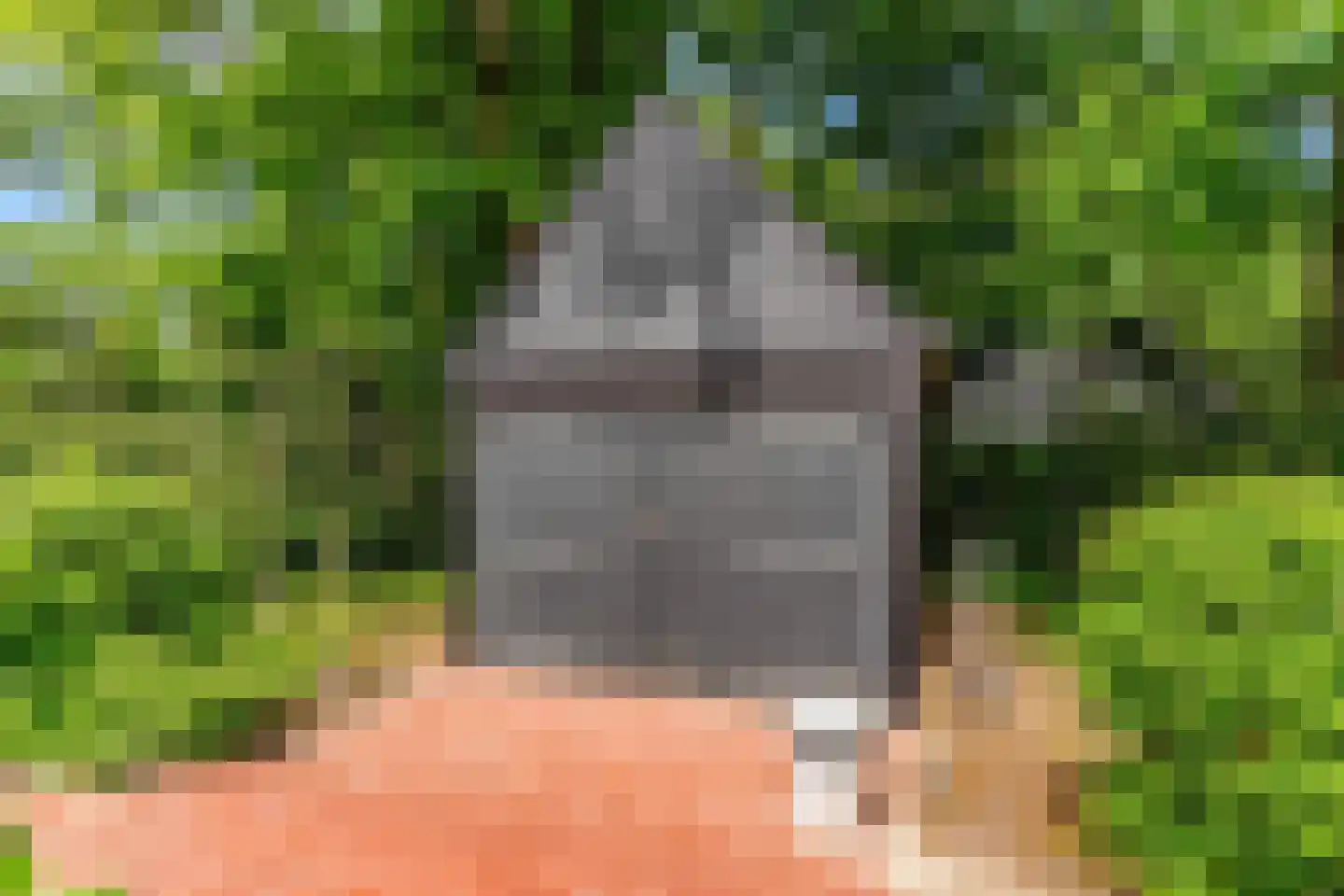 Oude Nieuwlandseweg 3 Nieuwerkerk thumbnail 106