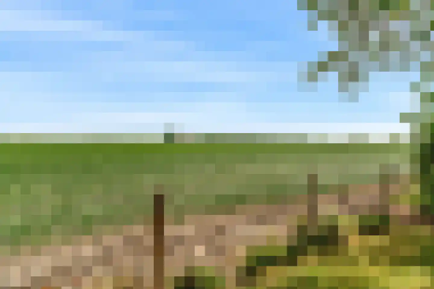 Oude Nieuwlandseweg 3 Nieuwerkerk thumbnail 110