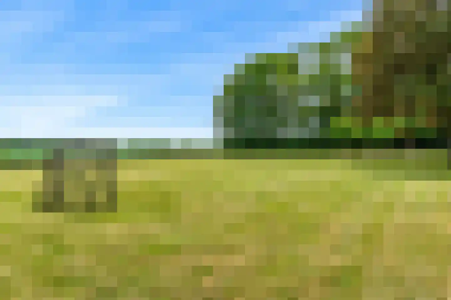 Oude Nieuwlandseweg 3 Nieuwerkerk thumbnail 111