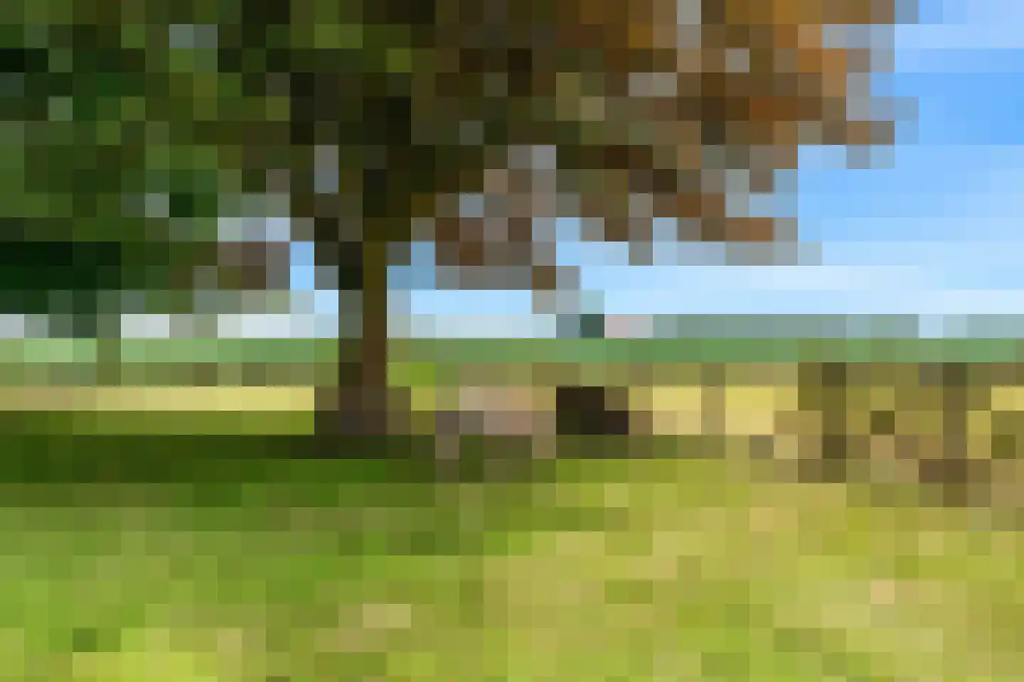 Oude Nieuwlandseweg 3 Nieuwerkerk thumbnail 112