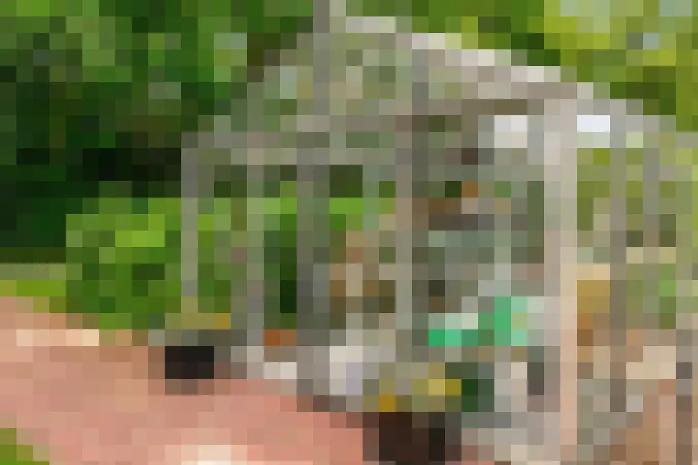 Oude Nieuwlandseweg 3 Nieuwerkerk thumbnail 114