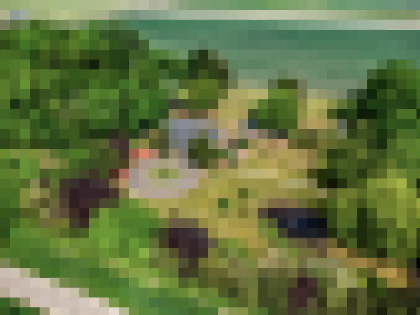 Oude Nieuwlandseweg 3 Nieuwerkerk thumbnail 117