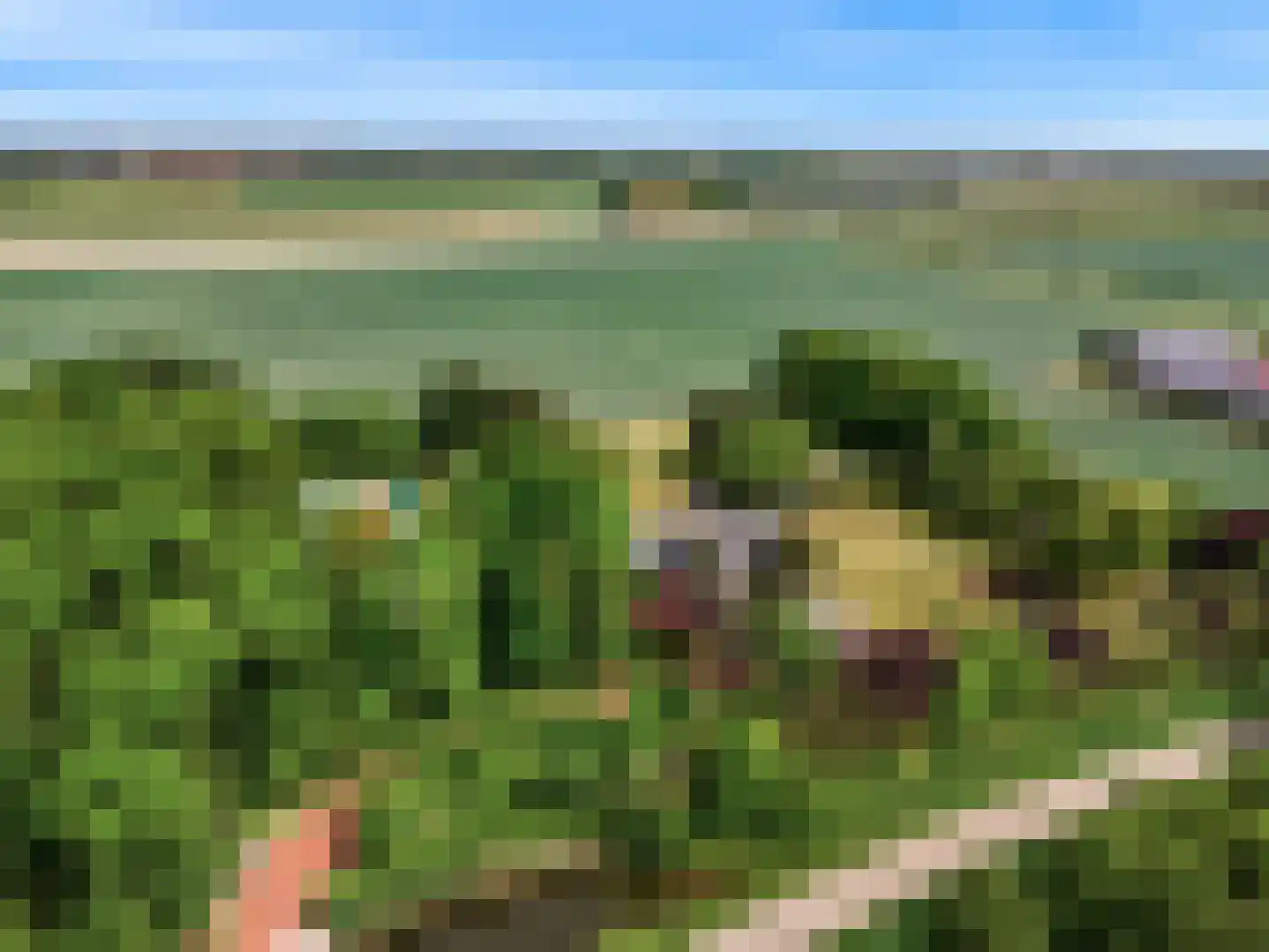 Oude Nieuwlandseweg 3 Nieuwerkerk thumbnail 118