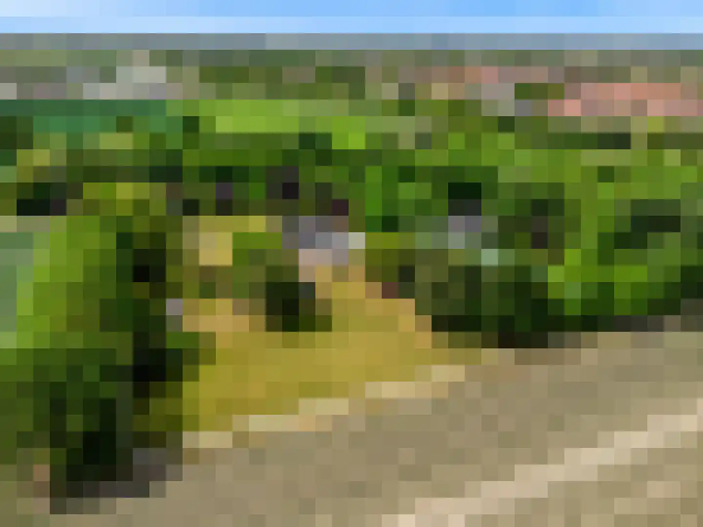 Oude Nieuwlandseweg 3 Nieuwerkerk thumbnail 119