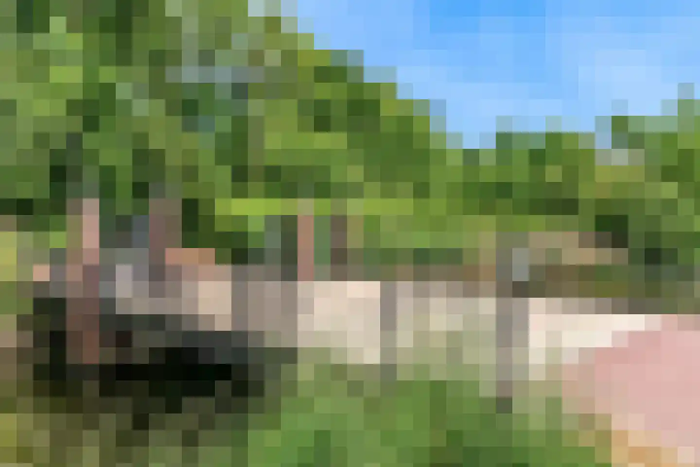 Oude Nieuwlandseweg 3 Nieuwerkerk thumbnail 14
