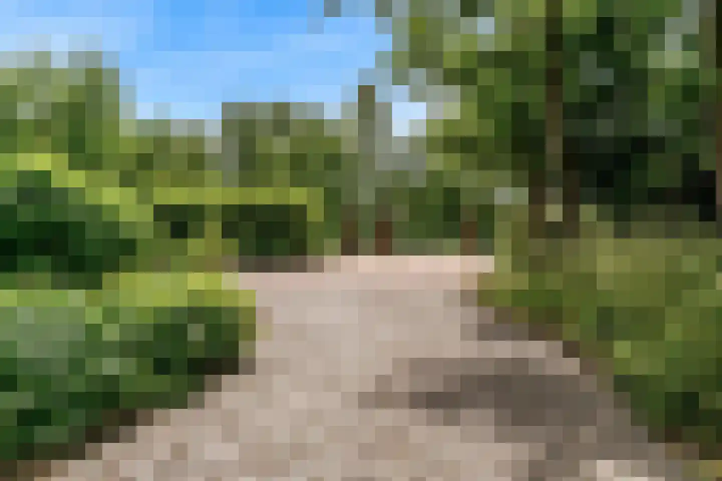 Oude Nieuwlandseweg 3 Nieuwerkerk thumbnail 15