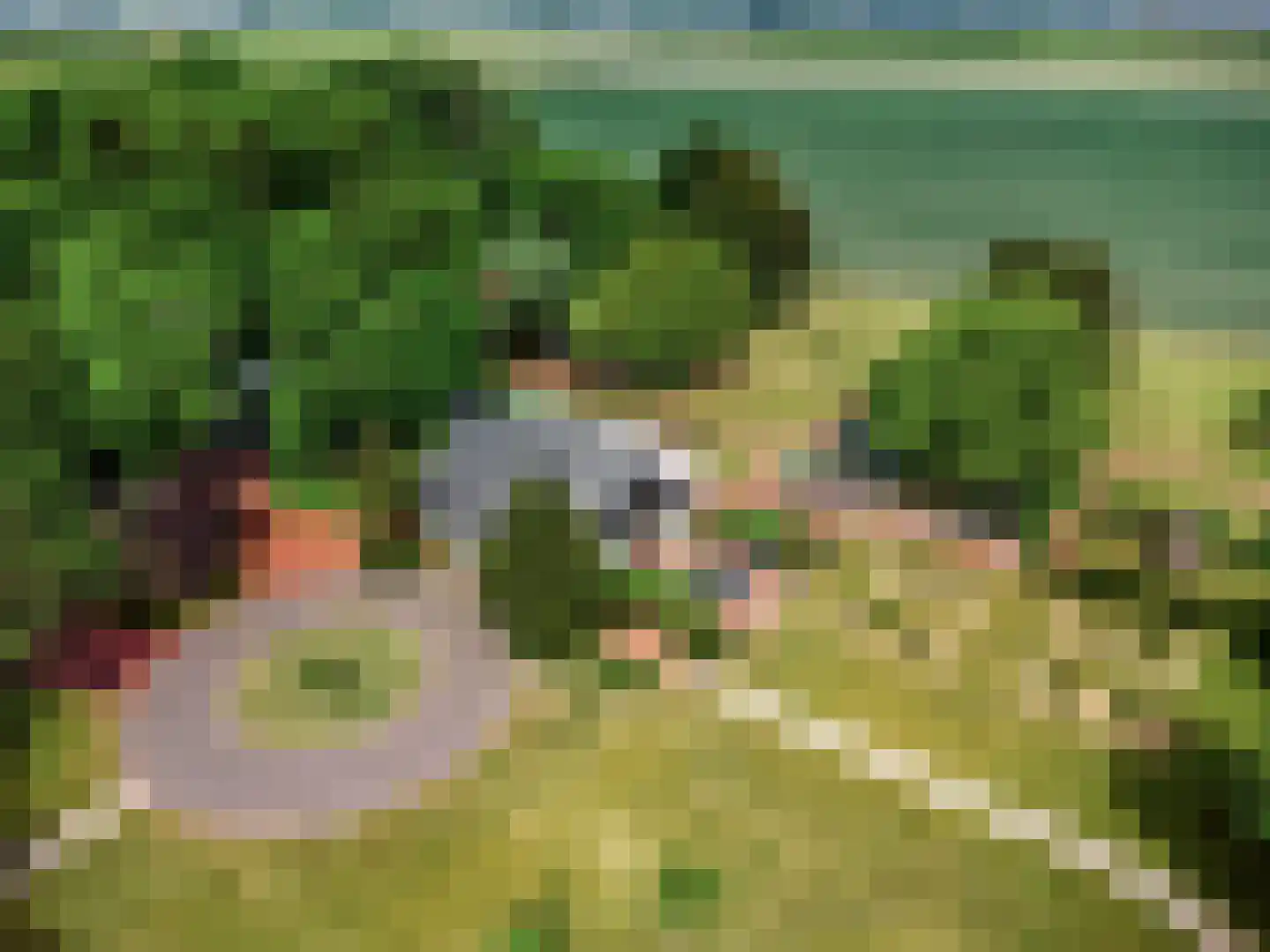 Oude Nieuwlandseweg 3 Nieuwerkerk thumbnail 16