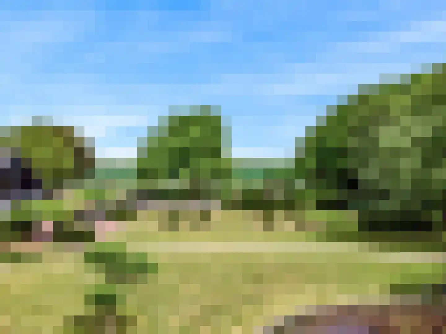 Oude Nieuwlandseweg 3 Nieuwerkerk thumbnail 17