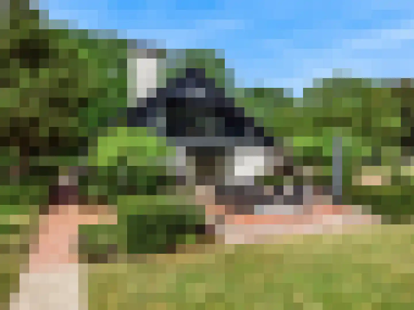 Oude Nieuwlandseweg 3 Nieuwerkerk thumbnail 18