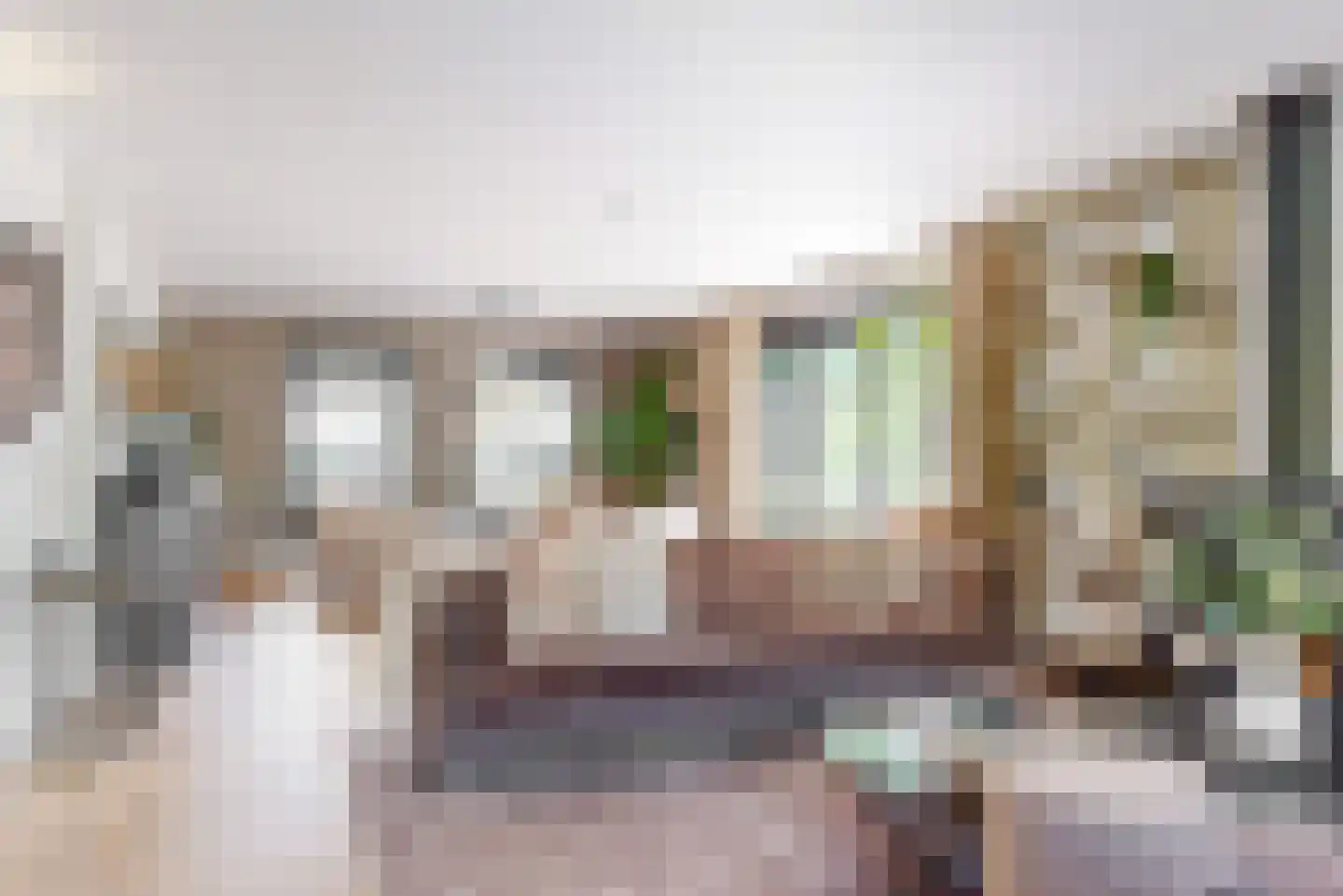 Oude Nieuwlandseweg 3 Nieuwerkerk thumbnail 23