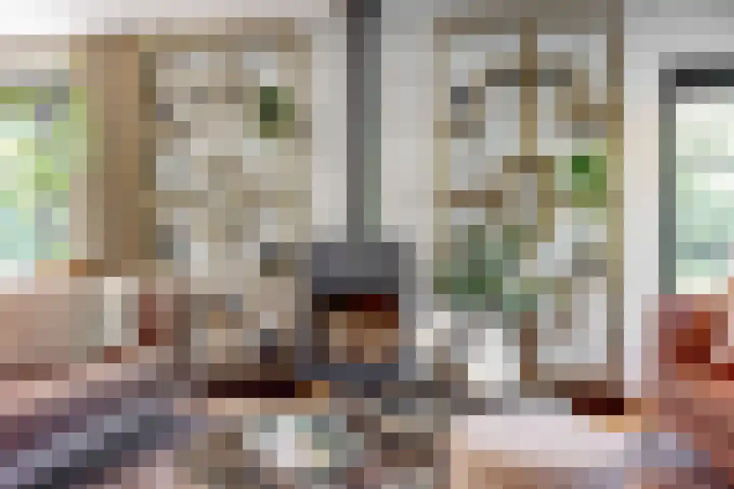 Oude Nieuwlandseweg 3 Nieuwerkerk thumbnail 24