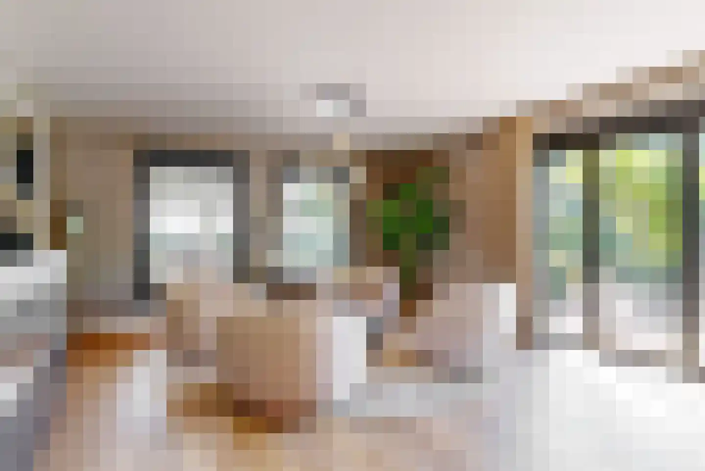 Oude Nieuwlandseweg 3 Nieuwerkerk thumbnail 25
