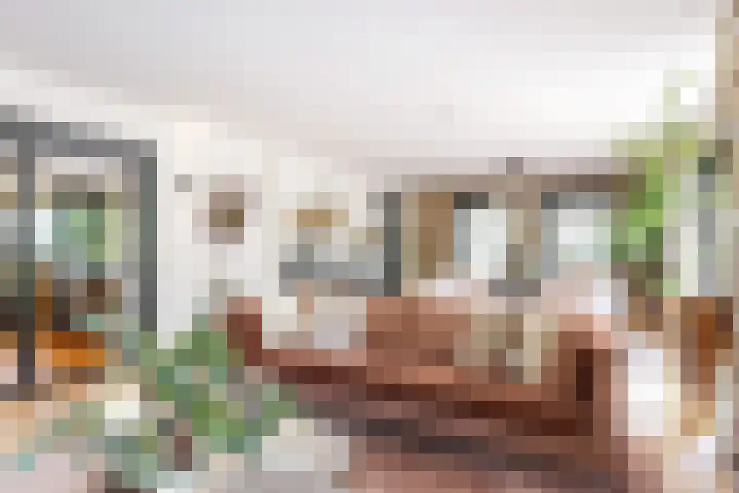 Oude Nieuwlandseweg 3 Nieuwerkerk thumbnail 26