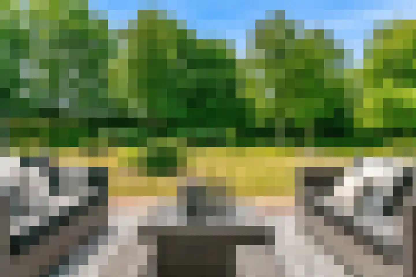 Oude Nieuwlandseweg 3 Nieuwerkerk thumbnail 30