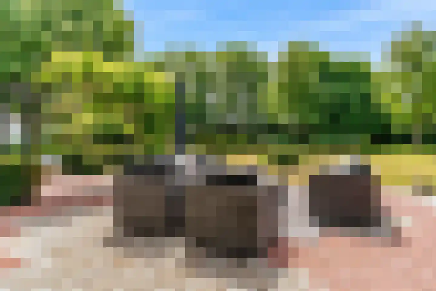 Oude Nieuwlandseweg 3 Nieuwerkerk thumbnail 31