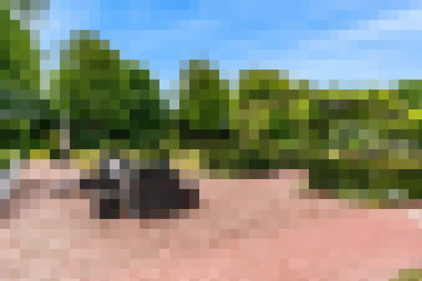 Oude Nieuwlandseweg 3 Nieuwerkerk thumbnail 32