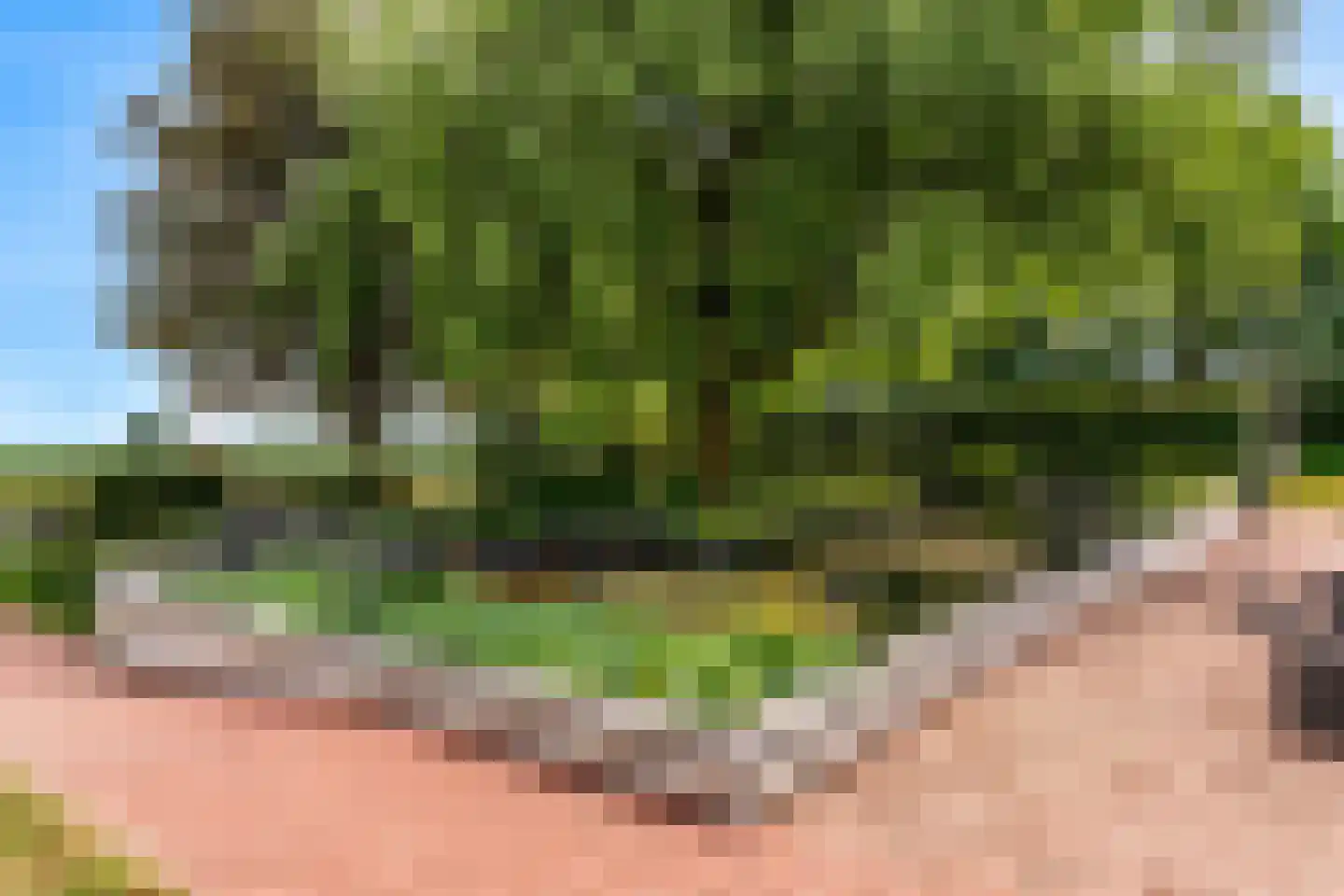 Oude Nieuwlandseweg 3 Nieuwerkerk thumbnail 33