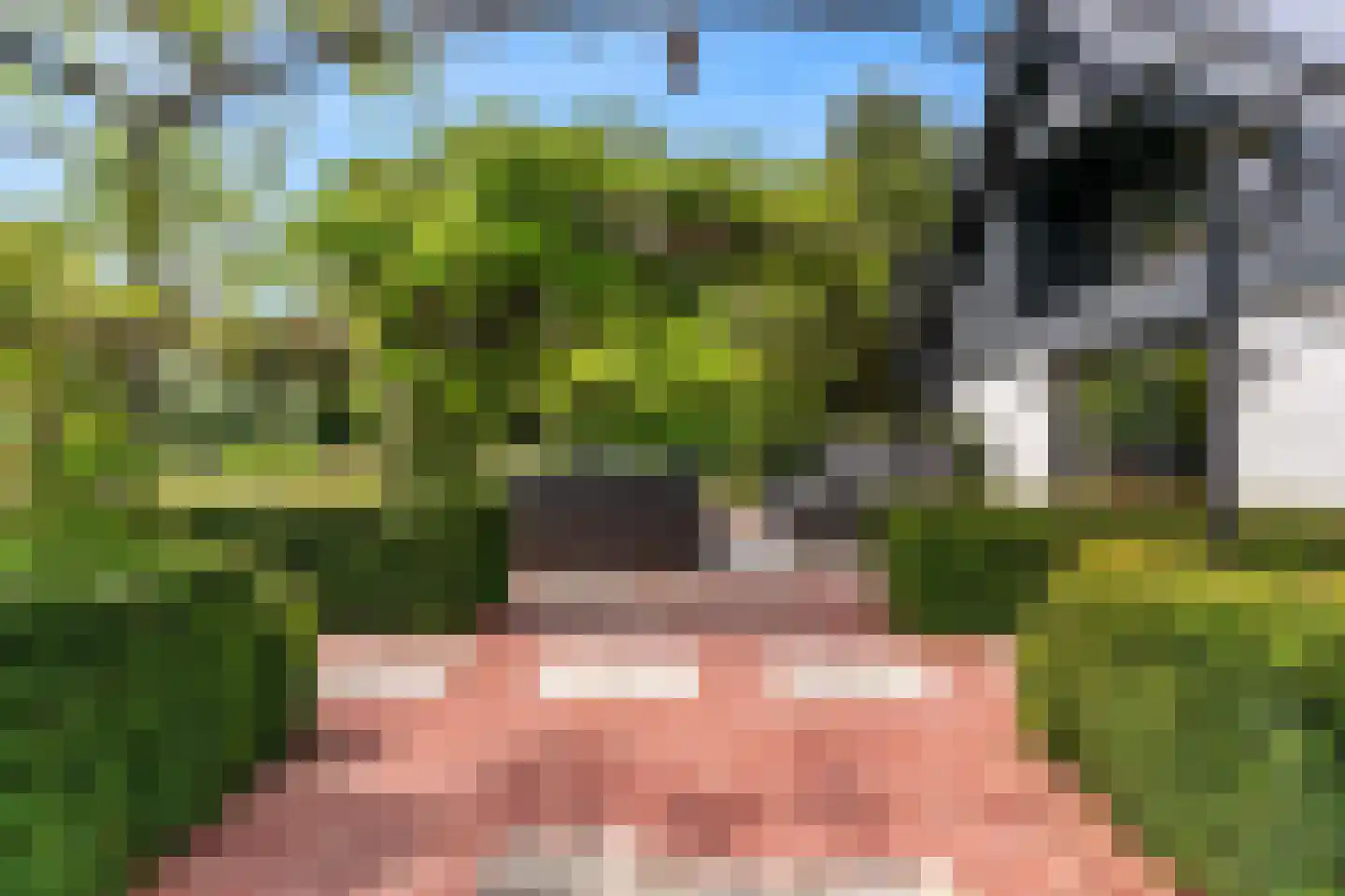 Oude Nieuwlandseweg 3 Nieuwerkerk thumbnail 34