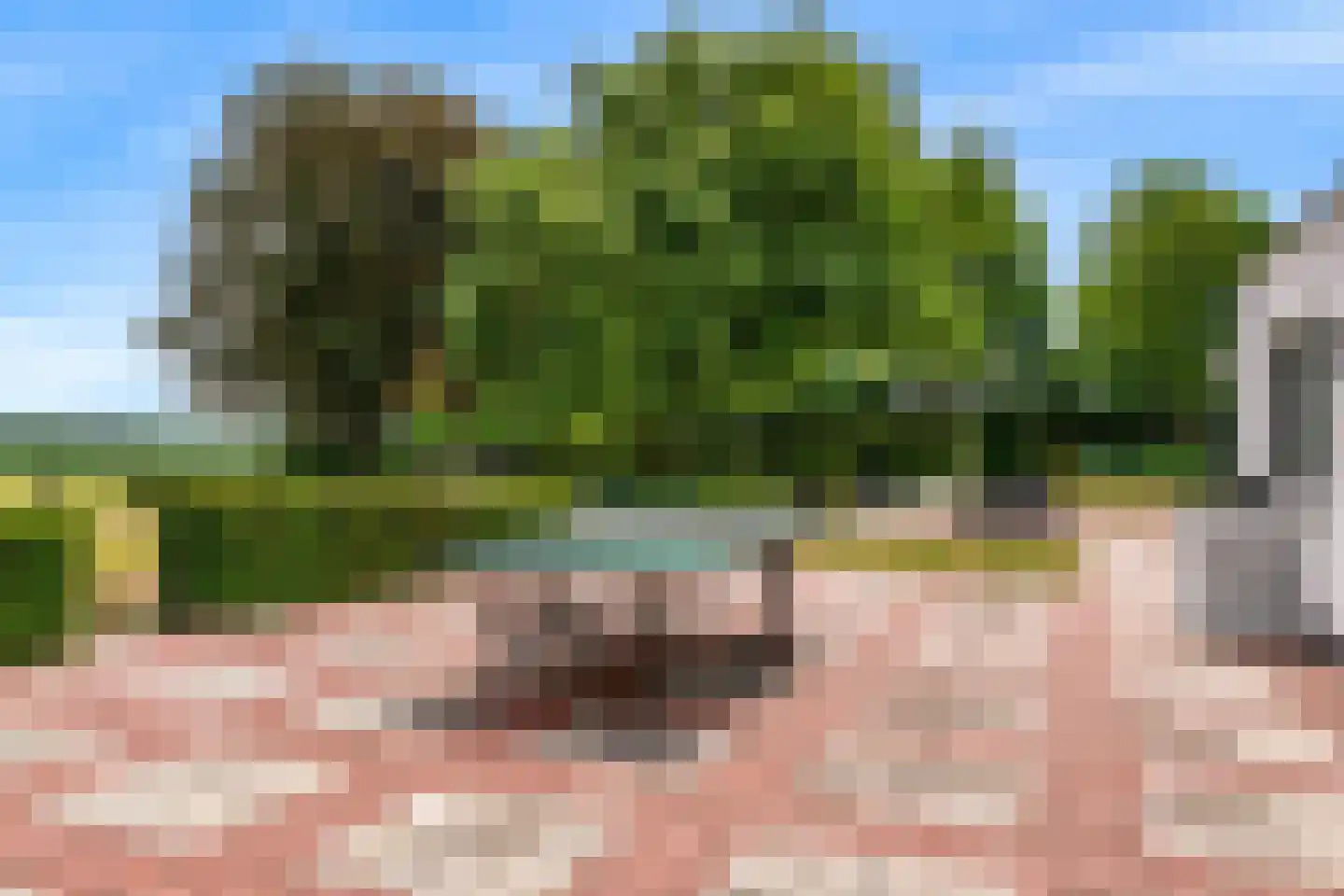 Oude Nieuwlandseweg 3 Nieuwerkerk thumbnail 35