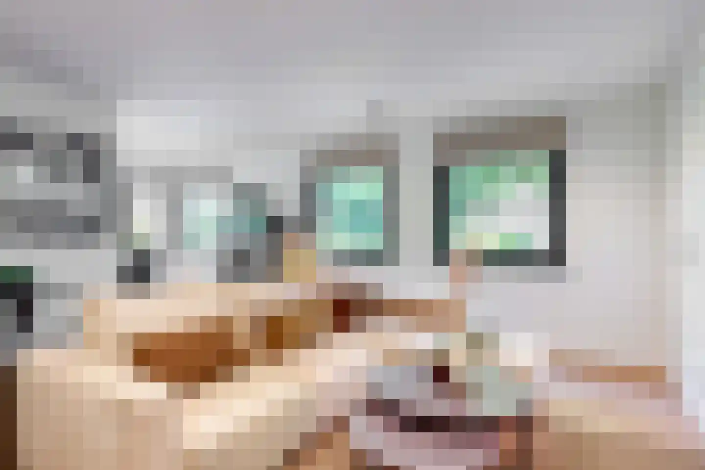 Oude Nieuwlandseweg 3 Nieuwerkerk thumbnail 37