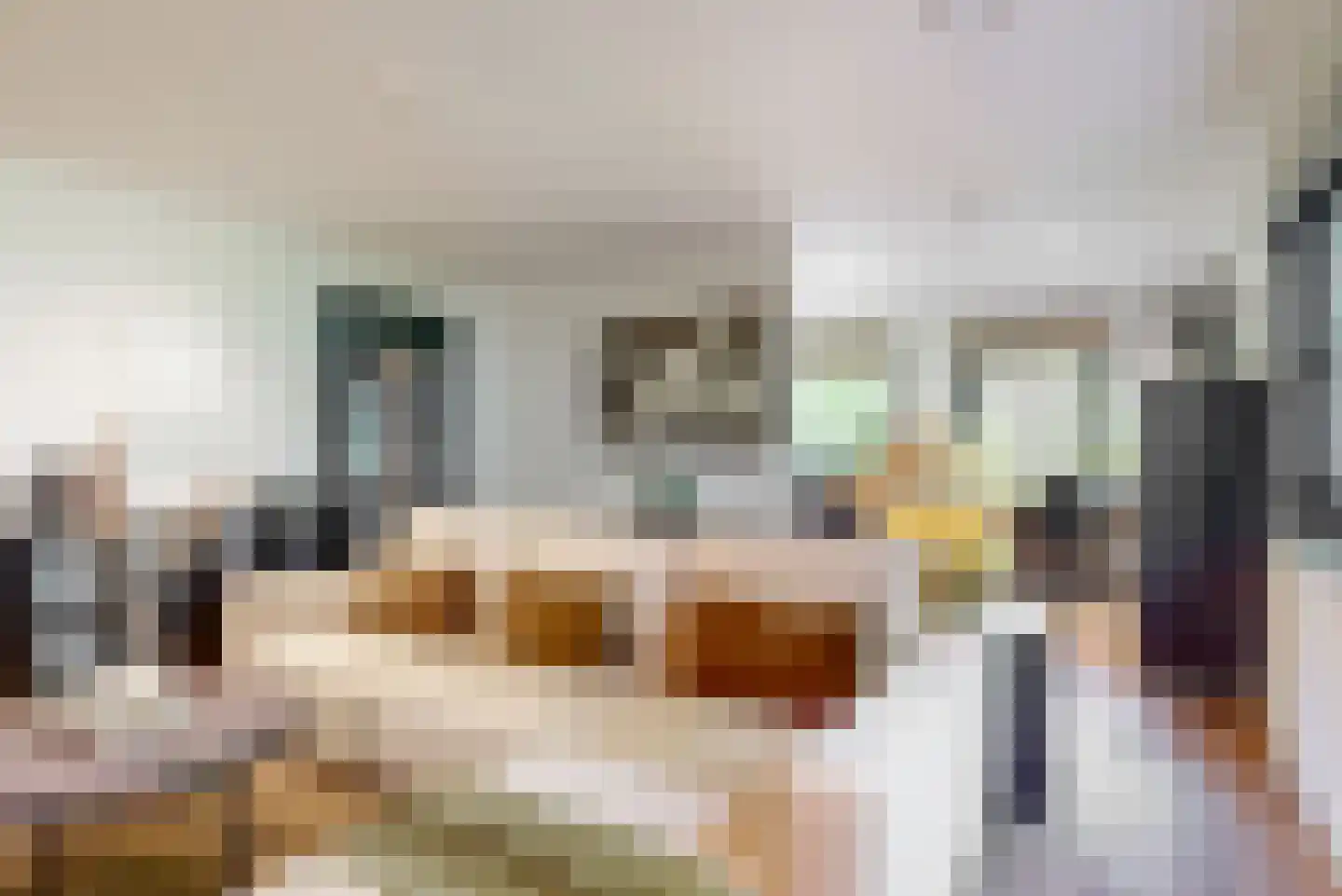 Oude Nieuwlandseweg 3 Nieuwerkerk thumbnail 39