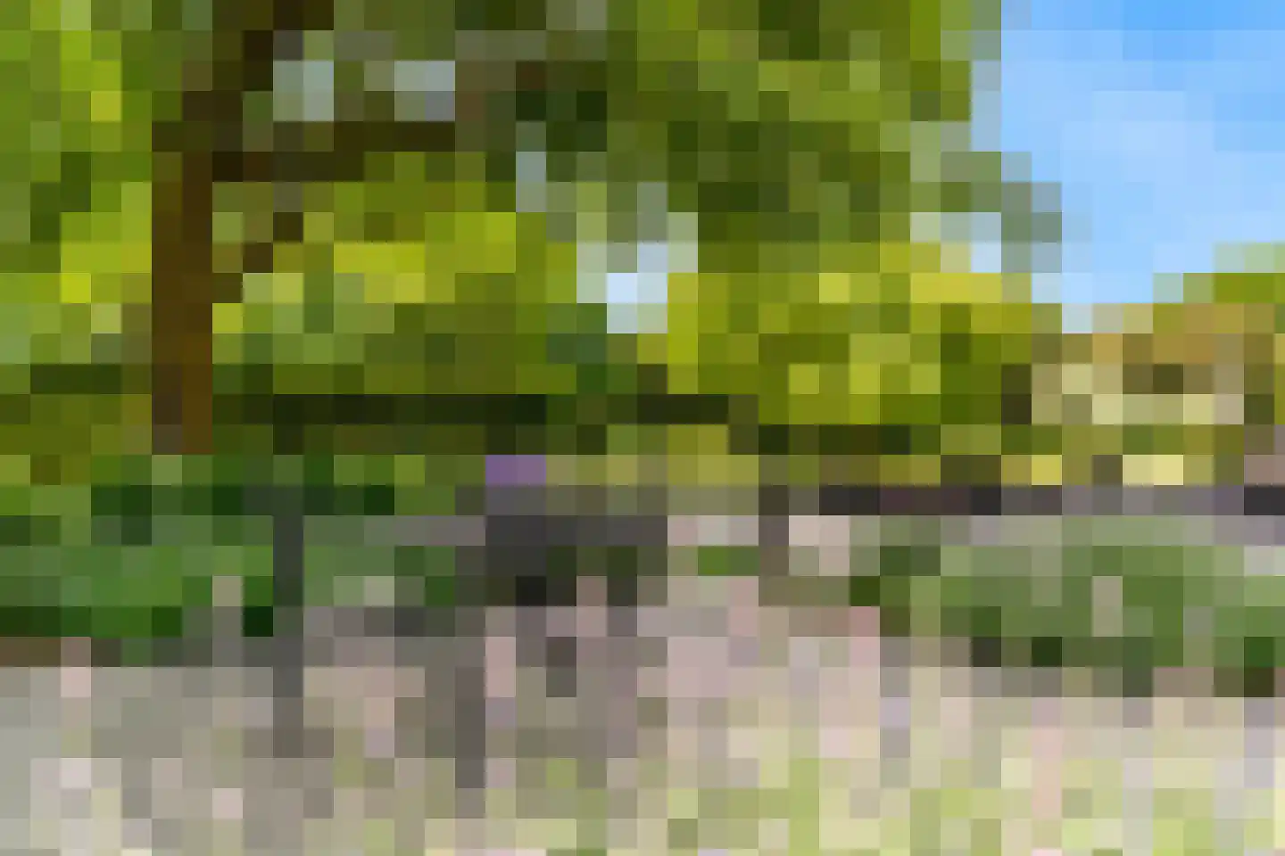 Oude Nieuwlandseweg 3 Nieuwerkerk thumbnail 4