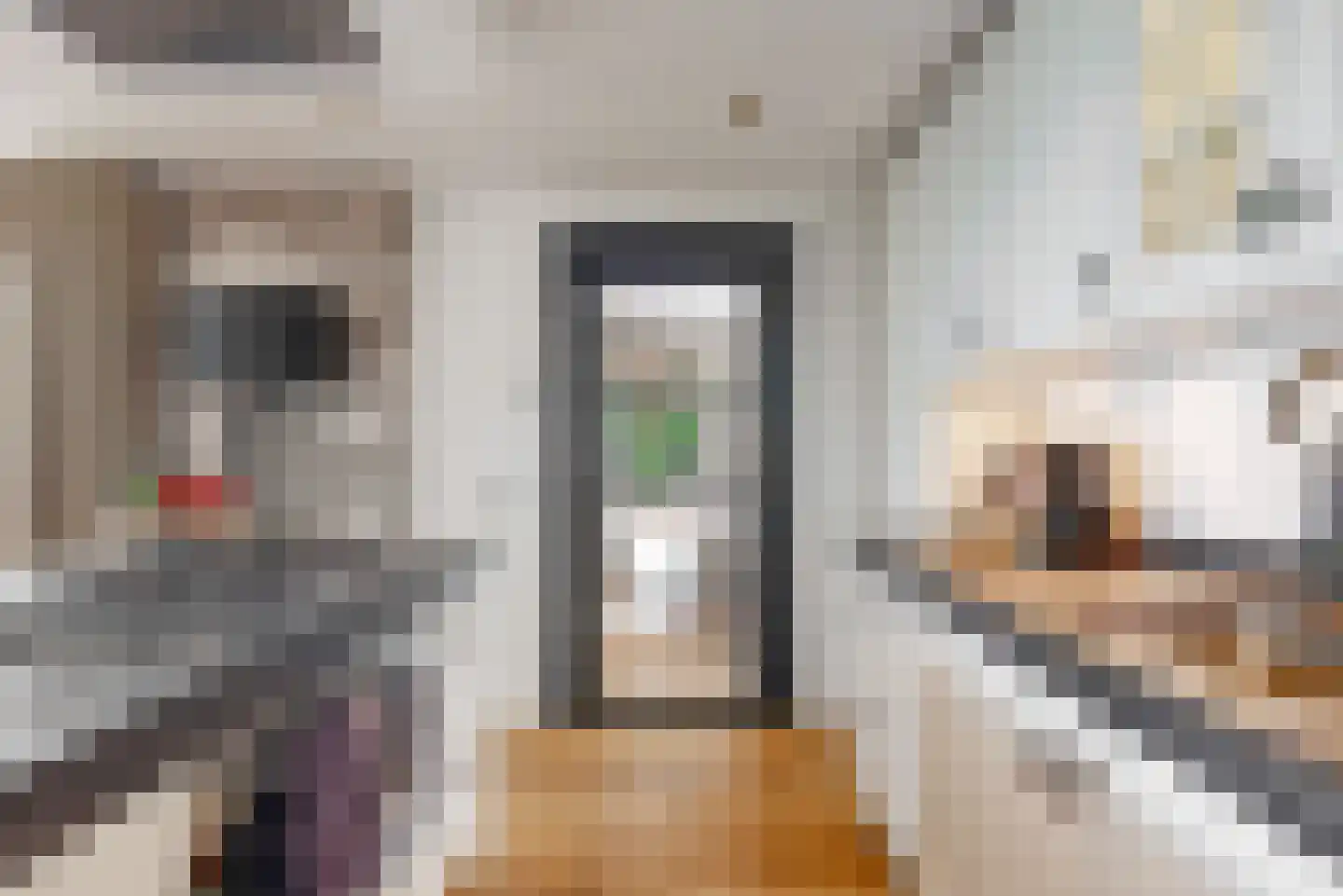 Oude Nieuwlandseweg 3 Nieuwerkerk thumbnail 42
