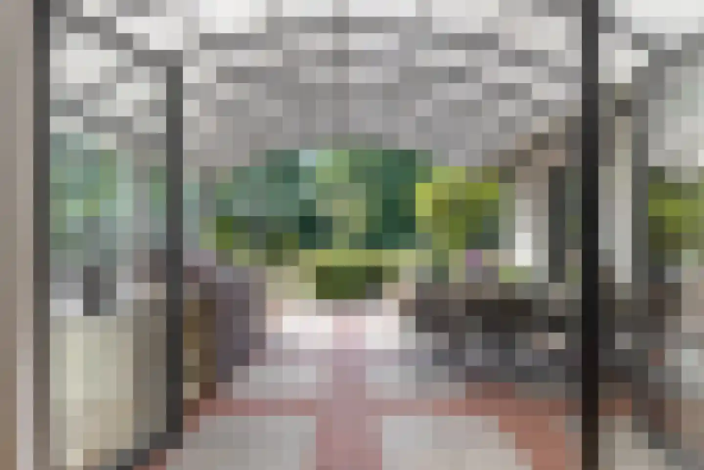 Oude Nieuwlandseweg 3 Nieuwerkerk thumbnail 46