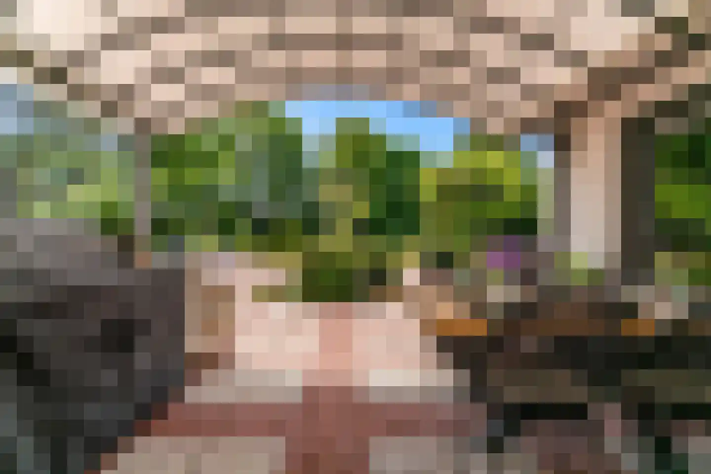Oude Nieuwlandseweg 3 Nieuwerkerk thumbnail 48