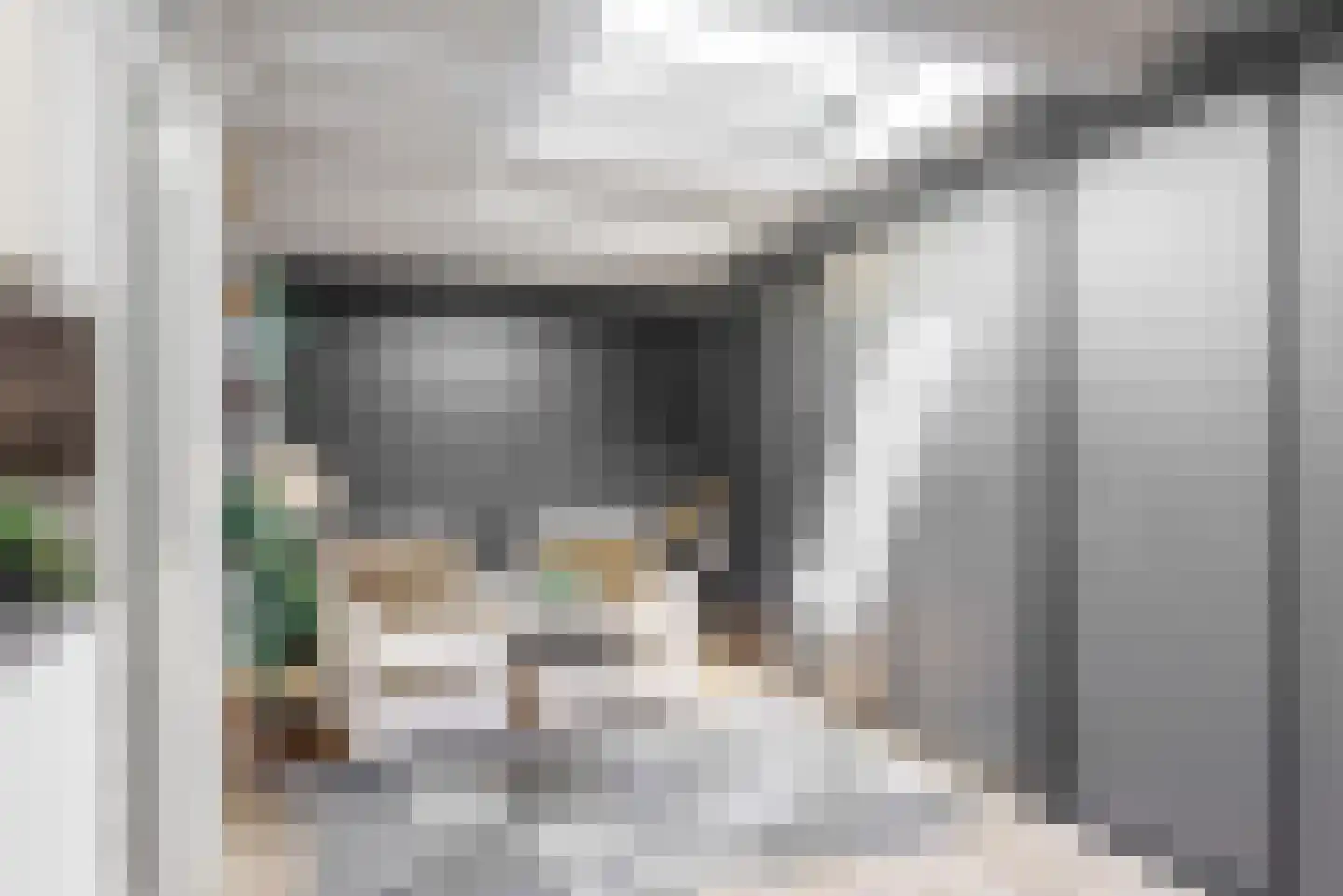 Oude Nieuwlandseweg 3 Nieuwerkerk thumbnail 54