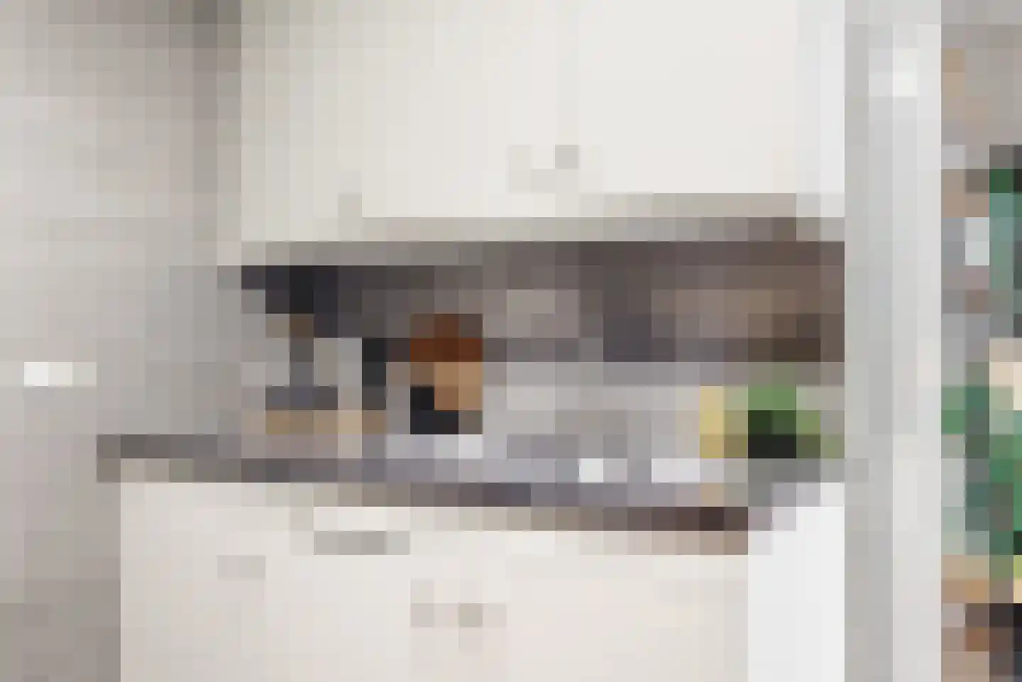 Oude Nieuwlandseweg 3 Nieuwerkerk thumbnail 55