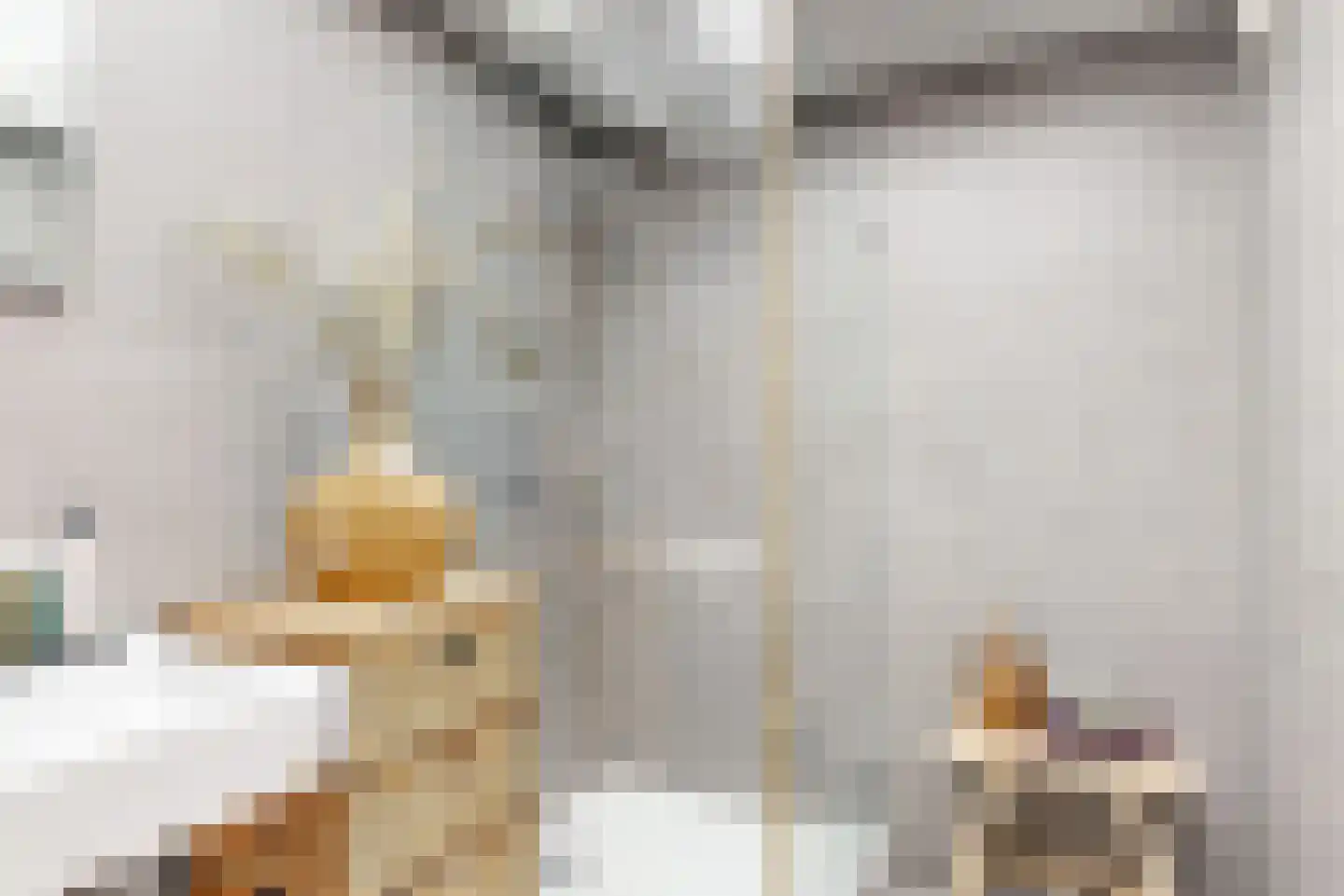 Oude Nieuwlandseweg 3 Nieuwerkerk thumbnail 56