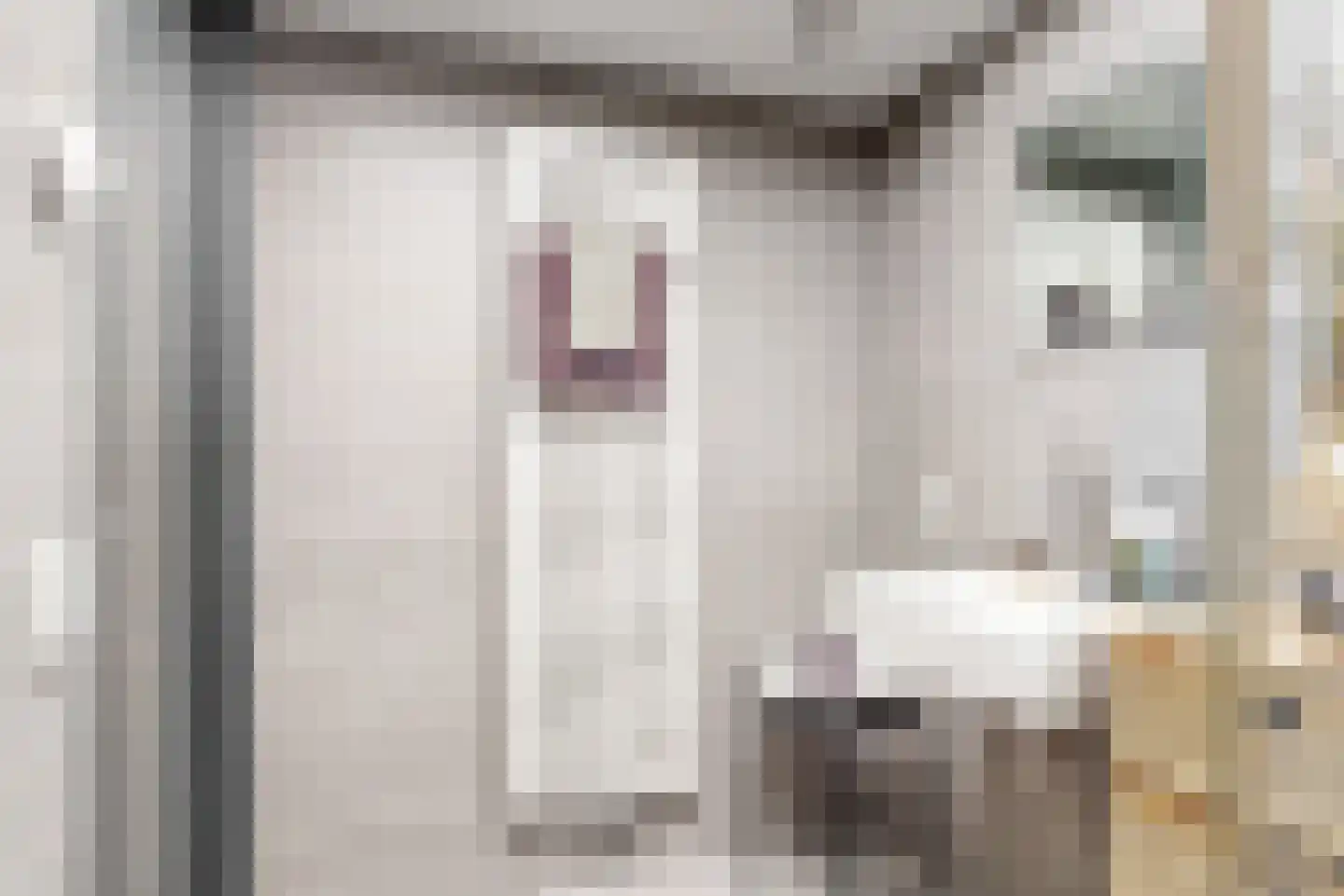 Oude Nieuwlandseweg 3 Nieuwerkerk thumbnail 57