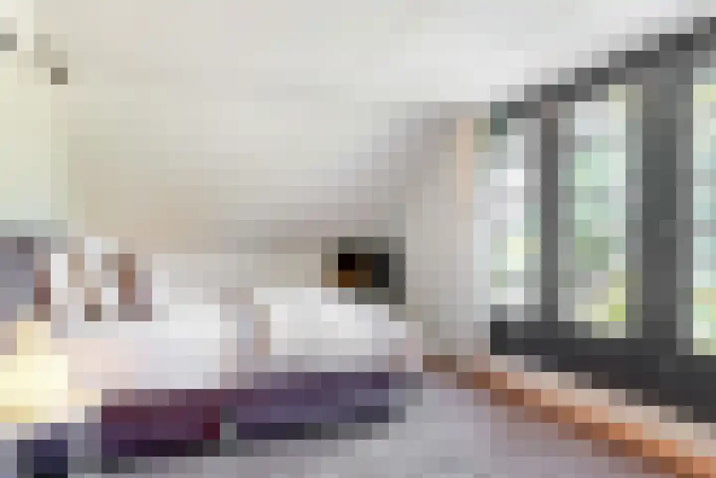 Oude Nieuwlandseweg 3 Nieuwerkerk thumbnail 62