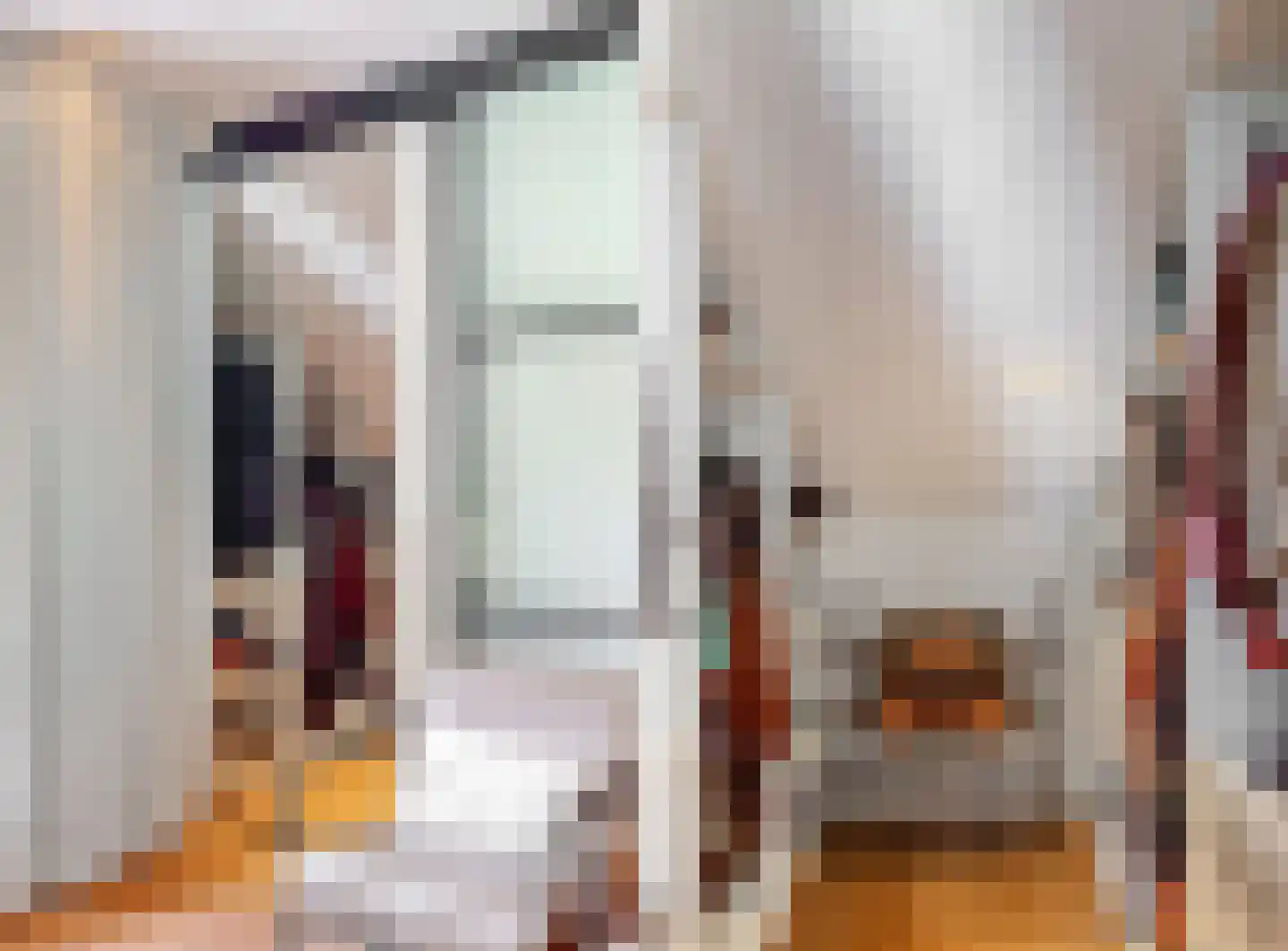 Oude Nieuwlandseweg 3 Nieuwerkerk thumbnail 65