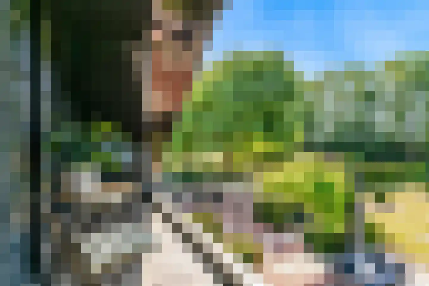Oude Nieuwlandseweg 3 Nieuwerkerk thumbnail 66