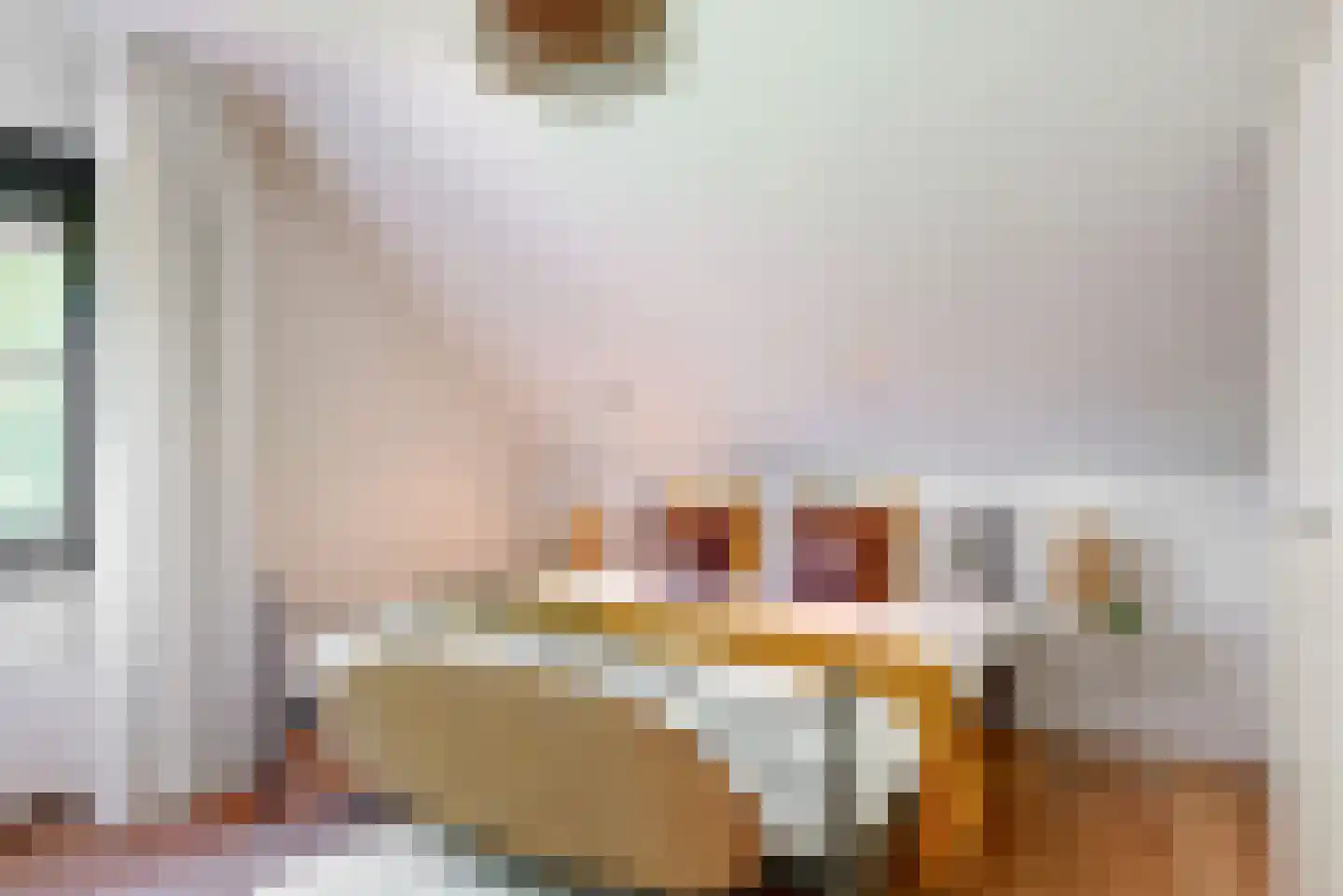 Oude Nieuwlandseweg 3 Nieuwerkerk thumbnail 67