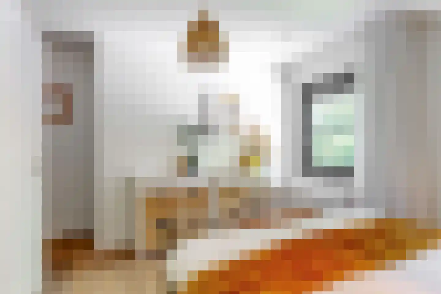 Oude Nieuwlandseweg 3 Nieuwerkerk thumbnail 68
