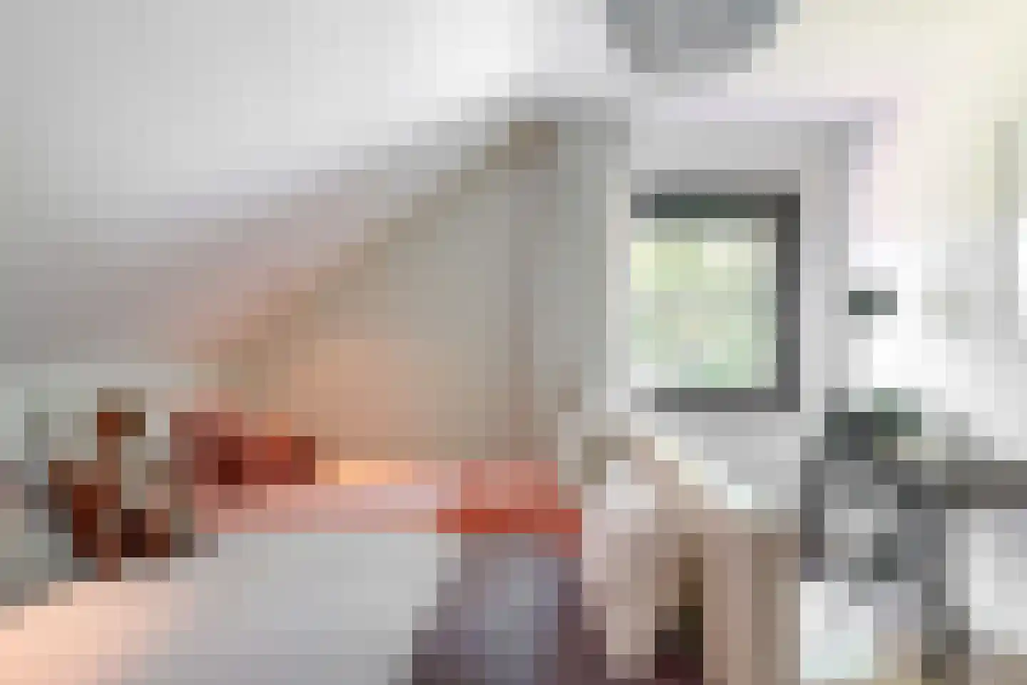 Oude Nieuwlandseweg 3 Nieuwerkerk thumbnail 69