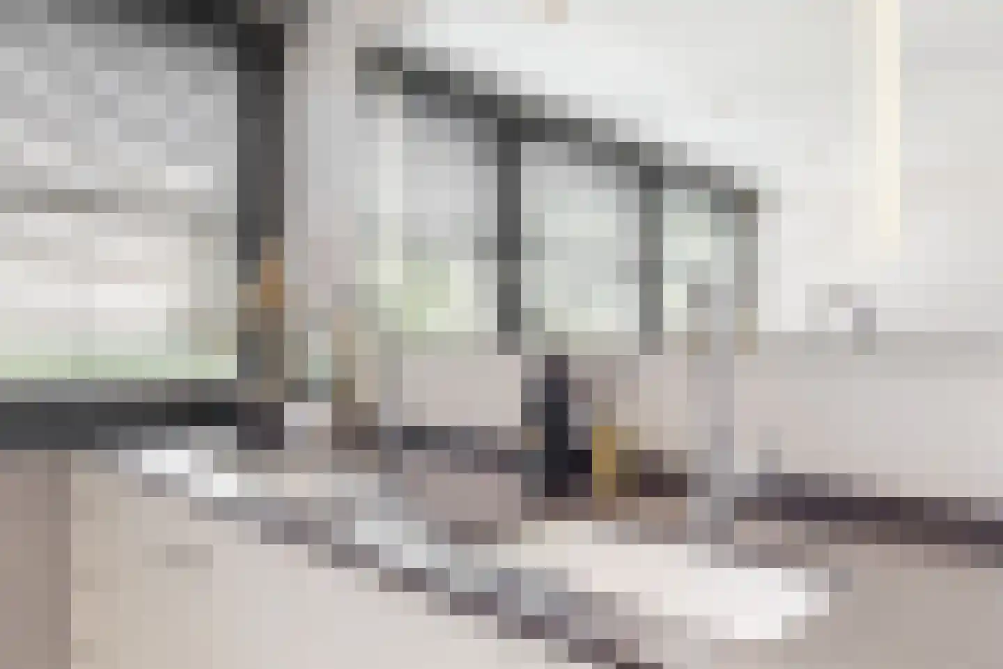 Oude Nieuwlandseweg 3 Nieuwerkerk thumbnail 71